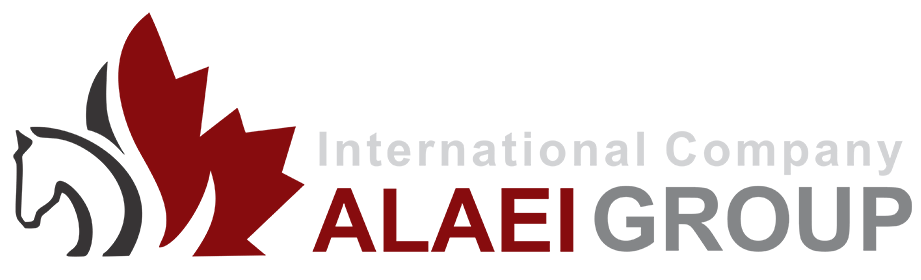 Alaei international group inc